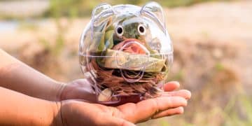 socially responsible investment funds