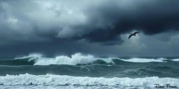 Hurricane Erin Outer Banks evacuations 2025: what to know