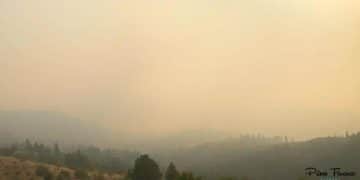 Wildfire smoke and air-quality warnings